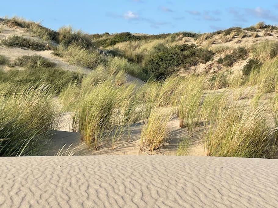 Charmante Maison Individuelle Proche Du Touquet Cucq Zewnętrze zdjęcie