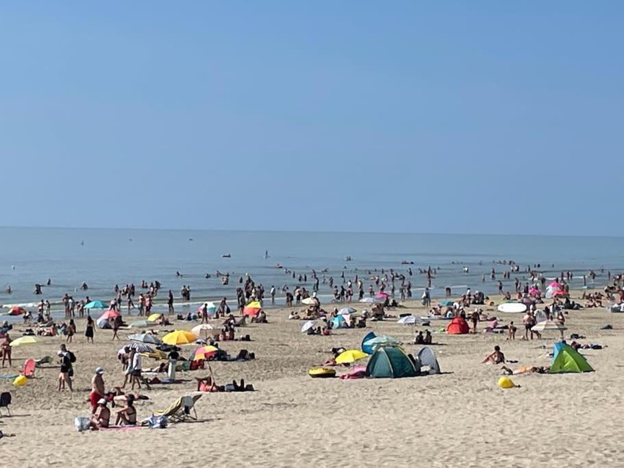 Charmante Maison Individuelle Proche Du Touquet Cucq Zewnętrze zdjęcie